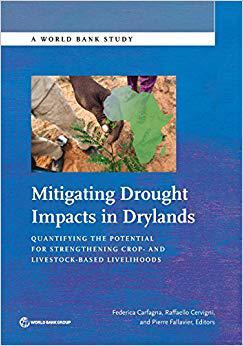 【预售】Mitigating Drought Impacts in Drylan...