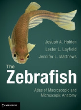 【预订】The Zebrafish