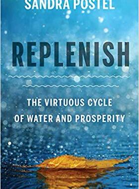 【预售】Replenish
