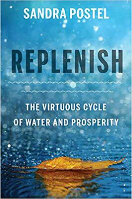 【预售】Replenish