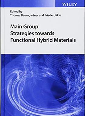 【预售】Main Group Strategies Towards Functi...