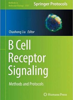 【预售】B Cell Receptor Signaling