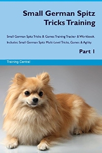 German Small Spitz Tricks S... Training 预订