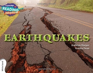 White Earthquakes Band 预订