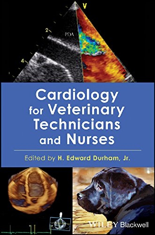 美国库房发货,通常付款后5-8周到货！