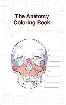 【预售】The Anatomy Coloring Book