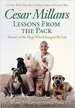 【预售】Cesar Millan’s Lessons from the Pack...