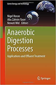 【预售】Anaerobic Digestion Processes