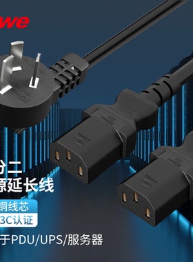 TOWE同为国标10A16AC14C20转C13一分二UPS服务器PDU电脑iec电源线