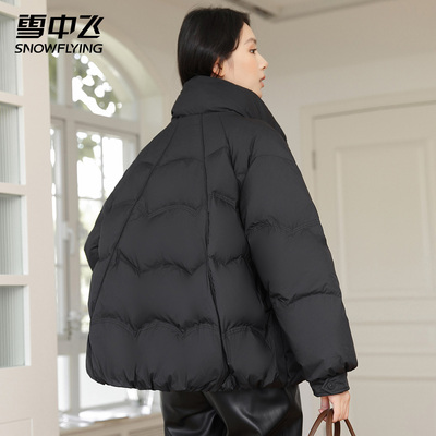 雪中飞时尚短款立领羽绒服休闲