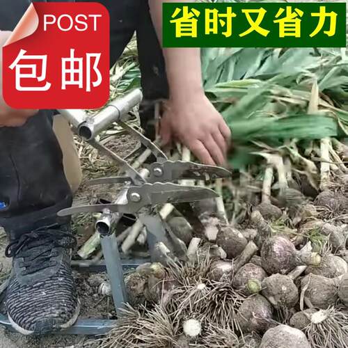 大蒜双头剪剪大蒜神器大神器
