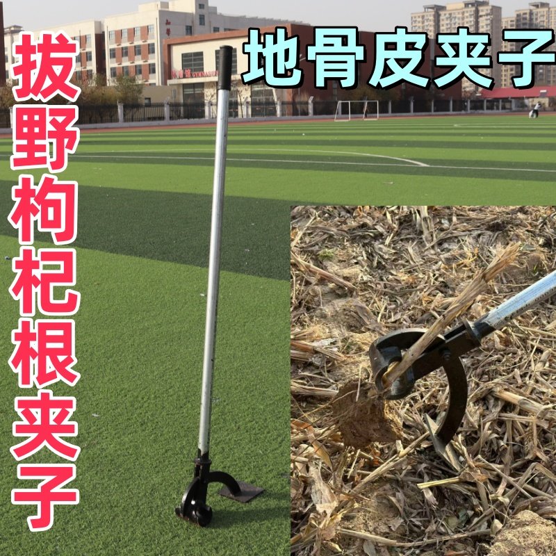 拔地骨皮专用神器枸杞根夹子起根器耐用省时省力加厚6公斤农用,农机/农具/农膜,其它农用工具,淘宝优惠券,粉丝福利购,淘宝优惠卷