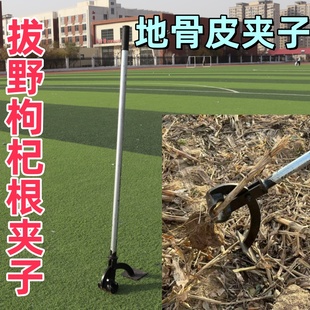 拔地骨皮专用神器枸杞根夹子起根器耐用省时省力加厚6公斤农用