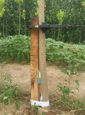 歪脖树国槐值直树器园林众泽农具