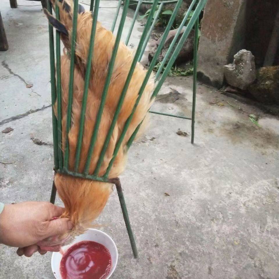 鸡杀架杀鸡器神器鸡放血神方便实杀用