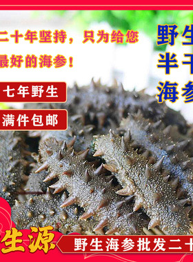 金生源大连野生半干海参500g