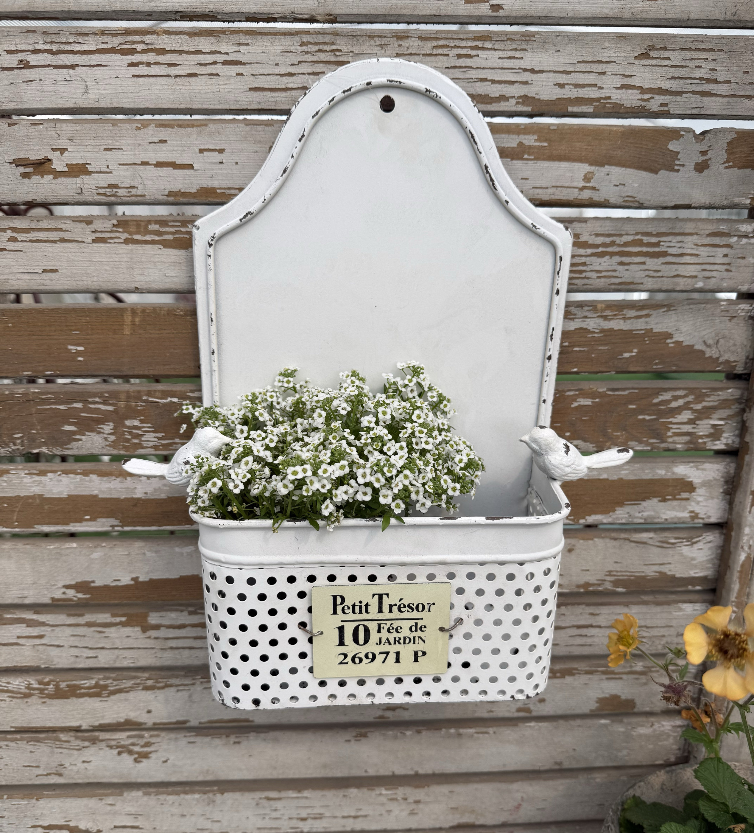 莫里斯花园 花园杂货可挂可摆放双鸟花架种植盆送铁皮牌一块