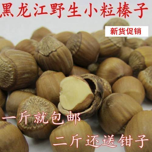 年货坚果开口榛子野生小榛子500g
