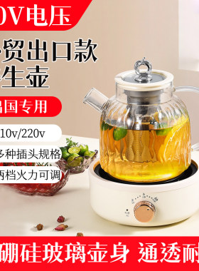 110v伏养生壶美国日本出口加拿大全玻璃烧水煮茶壶中国台湾香港