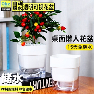 欧林泽桌面懒人盆自动吸水花盆塑料树脂简约仿陶瓷绿萝室内水培盆