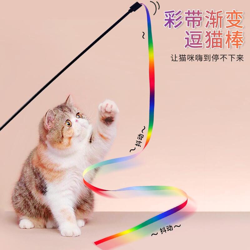 宠物猫玩具逗猫棒猫薄荷木天蓼图片