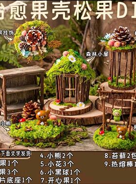 果壳小屋diy材料包手工松果治愈桌面摆件团建活动礼物天然松果