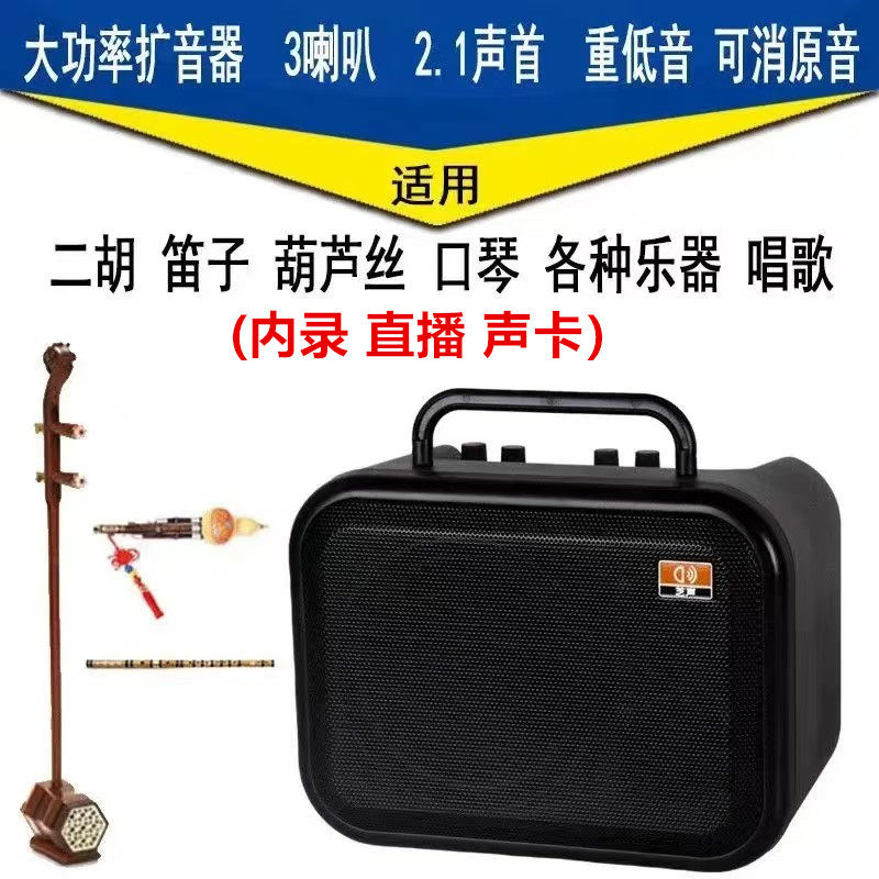 芝声E400无线蓝牙扩音器二胡笛子电管大功率扩音广场舞唱歌音响
