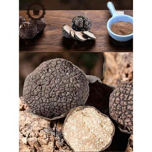 黑松露粉末意大利进口Tella黑松露调味固体香料65g