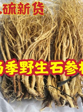新货野生石参根虎尾轮煲汤炖汤广东梅州客家土特产石参根纯天草