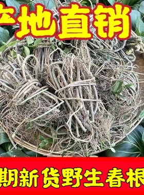 野生春根藤500克满山香伸筋藤穿根藤香藤子根中草药干货香藤根