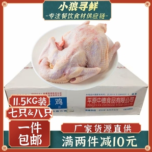 德通老母鸡 广东包邮 肉鸡蛋鸡淘汰鸡整箱23斤 冷冻东北散养土鸡