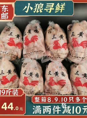 三黄鸡 整箱19斤 商用盘腿三黄鸡冰鲜白条鸡新鲜整鸡 烧鸡 农家鸡