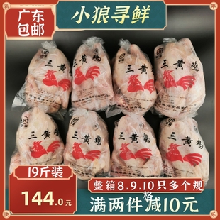 三黄鸡 整箱19斤 商用盘腿三黄鸡冰鲜白条鸡新鲜整鸡 烧鸡 农家鸡