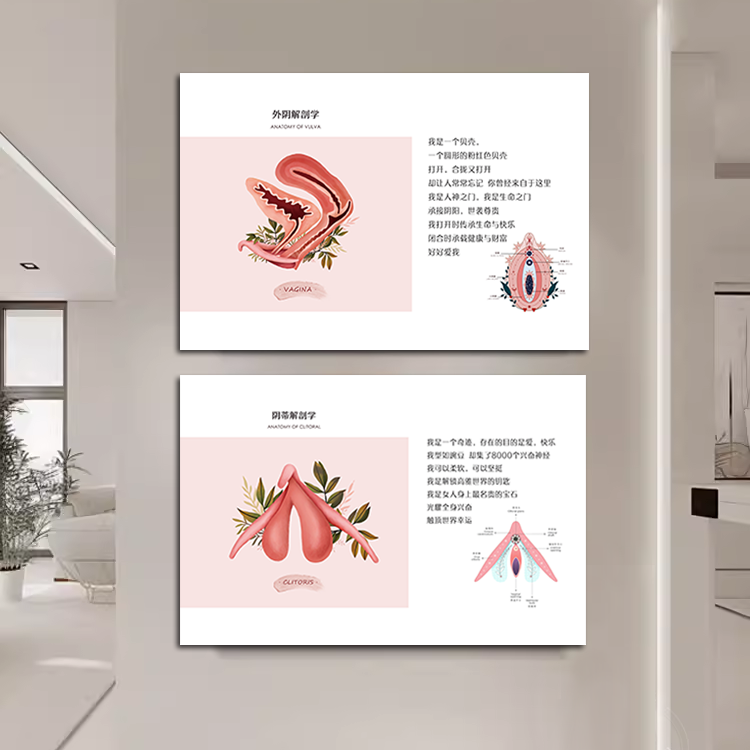 产康美容院生殖解剖图挂画月子中心产后修复墙装饰画私密养护壁画