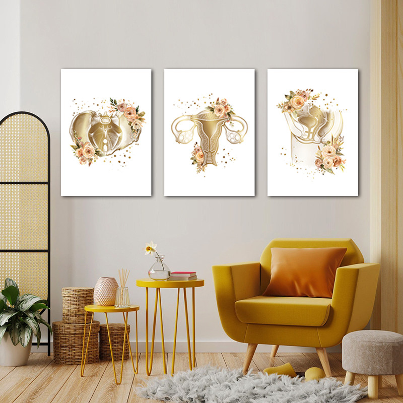 女性生殖解剖艺术装饰画 月子产康墙装饰子宫保养盆底肌修复挂画