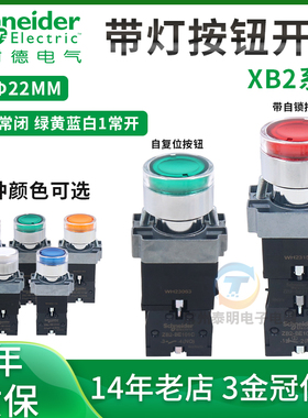 施耐德带灯按钮XB2BW33B1C 34B1C 35B1C 33M1C红绿黄蓝AC220/DC24