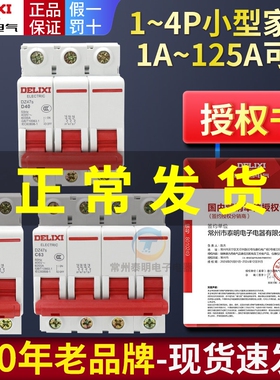 德力西1P空气开关2P家用32a63a三相3P断路器DZ47S 4P空开100A电闸