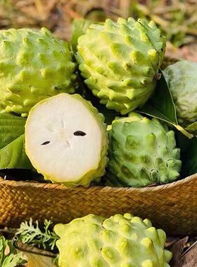 老树现摘牛奶凤梨释迦果攀枝花番荔枝佛头果当季新鲜水果采摘包邮