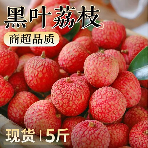 顺丰2026冷冻黑叶荔枝5斤当季新鲜水果现摘广东笑妃子老树整箱