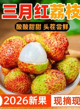 荔枝新鲜三月红非妃子5笑现摘当季水果酸口桂1味糯米0糍白糖顺丰