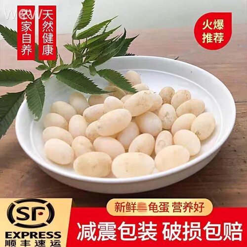 食用乌龟蛋甲鱼蛋新鲜精选发土特产农家养宝宝老人营养草龟蛋鳖蛋