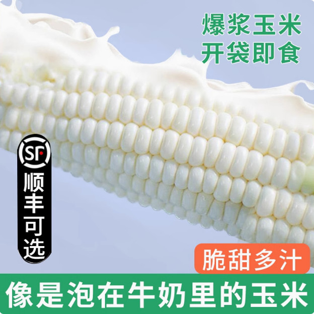 新鲜云南白糯牛奶玉米现摘玉米棒子生吃甜水果玉米牛奶油爆浆,水产肉类/新鲜蔬果/熟食,新鲜玉米,淘宝优惠券,粉丝福利购,淘宝优惠卷