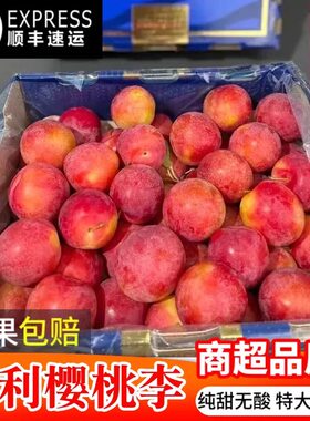顺丰智利樱桃李进口李子新鲜水果5斤原箱当季脆甜整箱包邮红布林