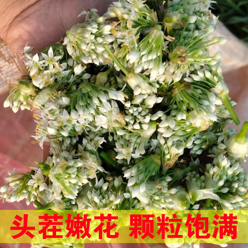 新鲜韭菜花现摘的山东老式头茬野生嫩韭花肚包肉天然骨朵应季蔬菜