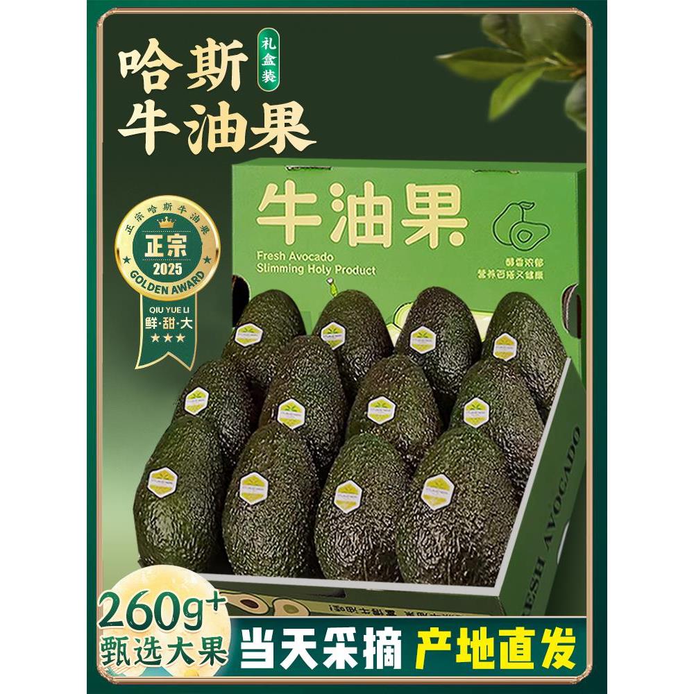 云南孟连哈斯牛油果大果新鲜水果15个即食一级鳄梨国产