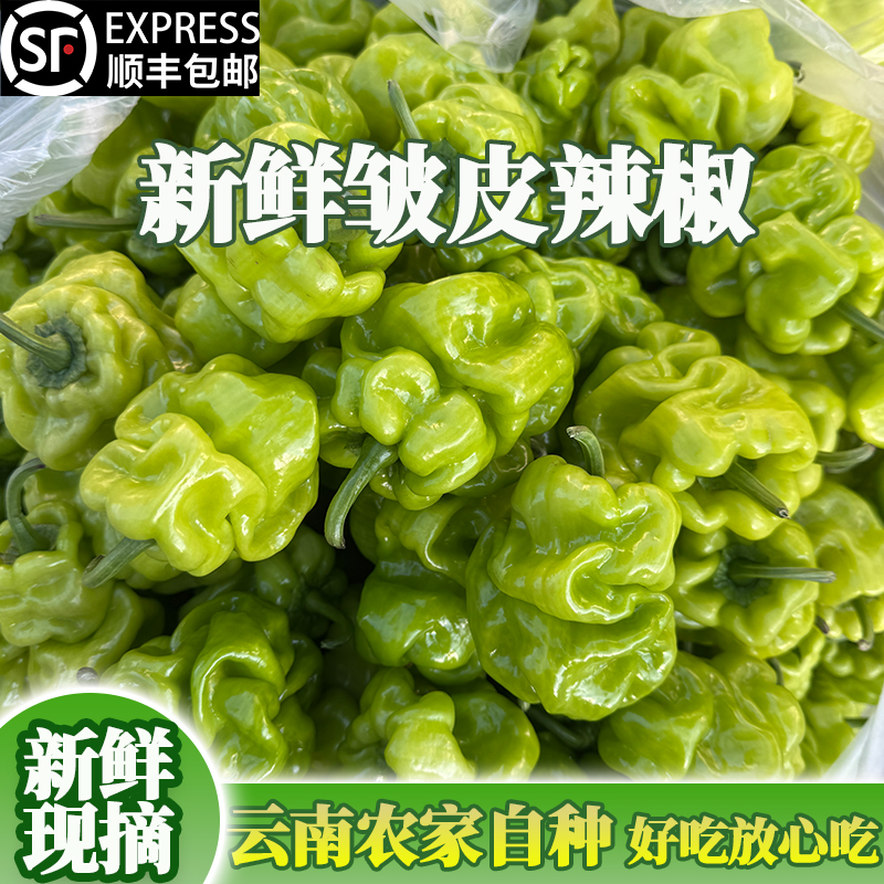 云南农家自种皱皮辣椒新鲜蔬菜青辣椒菜椒皱壳辣椒虎皮辣椒圆椒