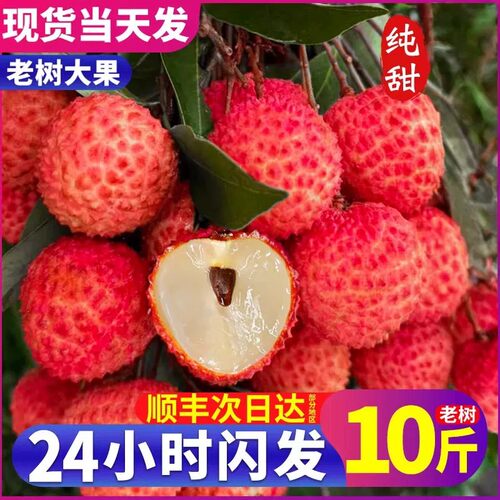 顺丰包邮桂味荔枝5斤装整箱老树果小核冰冻荔枝3斤