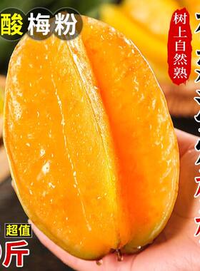 福建漳州甜杨桃新鲜水果5斤应当季树上熟现摘扬桃五角星杨桃