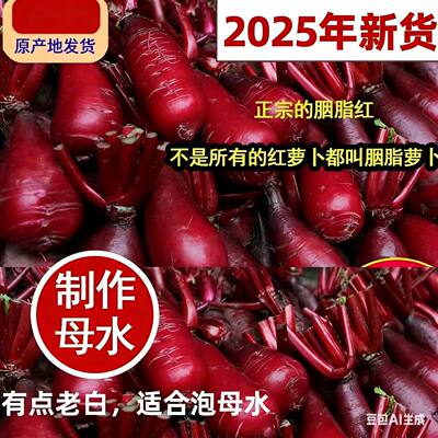 特产的胭脂萝卜5斤红皮红心新鲜紫美人泡菜专用红心萝卜