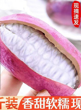 新鲜八月瓜水果八月炸野果当季生鲜野香蕉8月果现摘九月黄预知子
